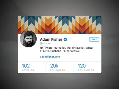 User Profile 006 dailyui user profile