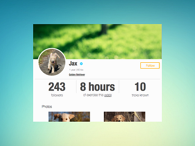 DailyUI 006 : User Profile 006 6 daily ui dailyui dog profile puppy user profile