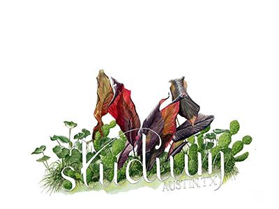 Studium2 arts atx botanical humanities lettering logo nature nonprofit plants