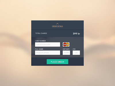 Credit Card checkout checkout creditcard dailyui whitespace