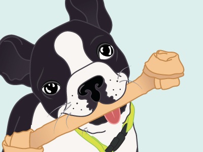 Boston Terrier animal boston boston terrier cute dog dogbone illustration terrier vector
