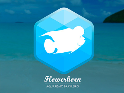 Flower aquarium beach brazilian fish fisher fishkeeper hexagon hobby logo logotype nature wild