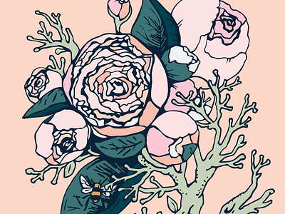 Peonies Illustration bee floral flowers illustration leaf leaves natural nature peonies pink