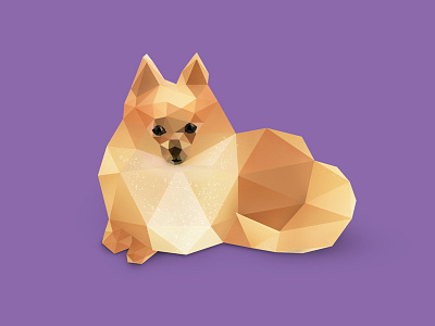 Pomeranian. animals cute animals dog dogs low poly low polygon photoshop photoshop cc pomeranian pomeranians vector vector art