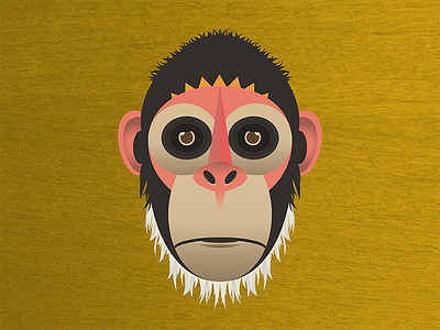 Geomonkey circles geometric monkey skillshare