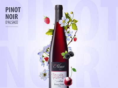 Pinot Noir d'Alsace colors graphic design illustration wine