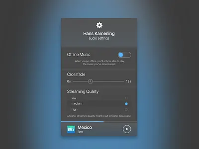 Settings dailyui music settings sketch