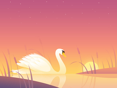 Swan illustration sunrise sunset swan weather