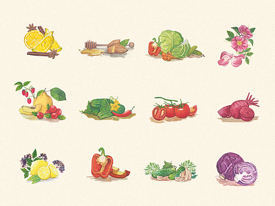 Home-made preserves drawing friuts handdrawn illustration iza izabela kasza paint preserves sketch vegetables watercolor