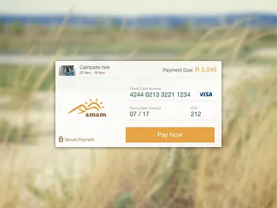 Amam Credit card section 002 amam campsite credit card dailyui form input