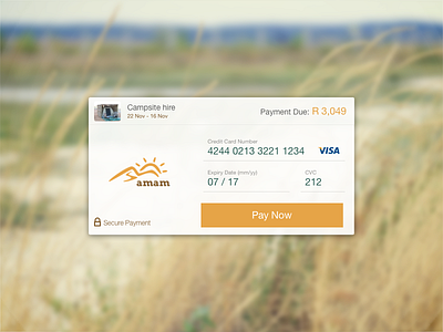 Amam Credit card section 002 amam campsite credit card dailyui form input
