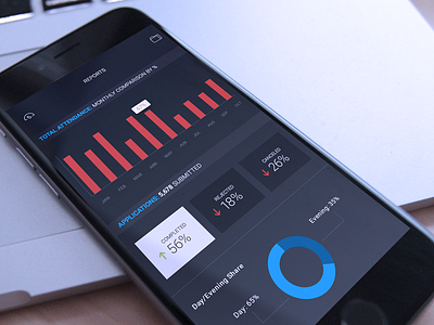 Chart Report iPhone Version analytics chart infographic ios iphone