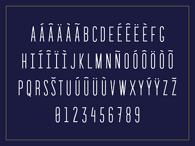 Costo Sans 3 font letters type typeface typography