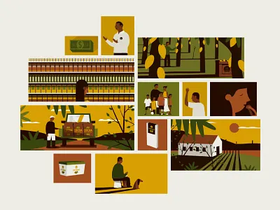 Cocoa Loco animation bean chocolate cocoa drums education family farm pod summer tree