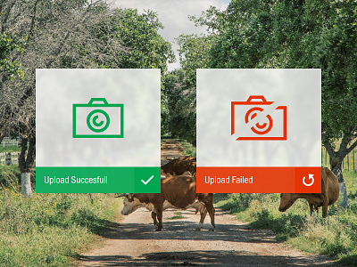 Daily UI #11 daily ui fail flash flash message message photo pop up success ui upload ux