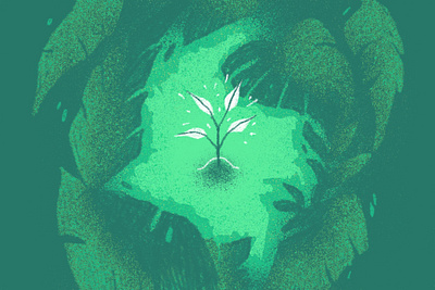 Budding Efforts colombia editorial illustration foliage jungle sapling shadow art