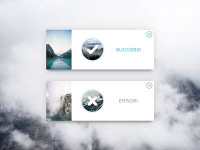 #011 - Flash Message clean dailyui error flash message sketch success ui