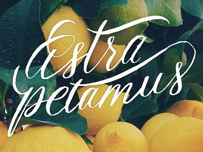 Astra Petamus logo calligraphy handlettering lettering logo script wordmark