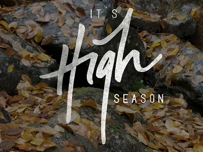 It's high season autumn brush handlettering handwritten lettering ligatures script season typography