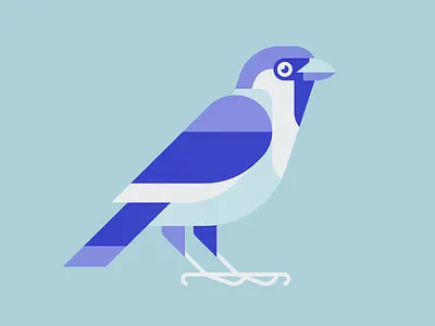 It's a bird bird sparrow