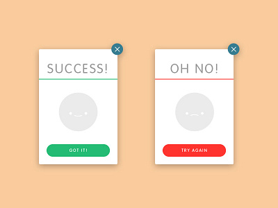 Daily UI – 011/100 days 011 dailyui day011 error flash flat menu message popup ui vector