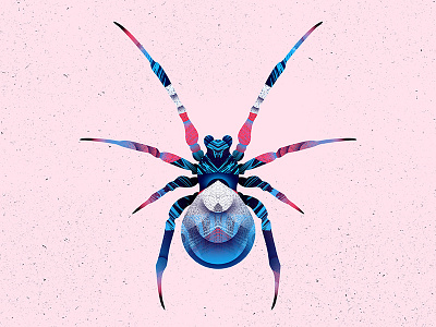 Spider blue creepy illustration spider spooky