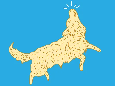 Podengo! dog doodle drawing illustration podengo