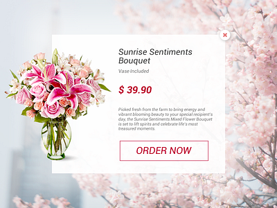 Daily UI 012 - E-Commerce Shop (Single Item) 012 dailyui ecommerce nb8 shop single ui ux