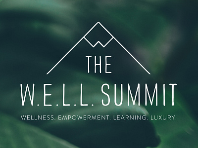 The Well Summit Logo conference logo mountain summit wellness
