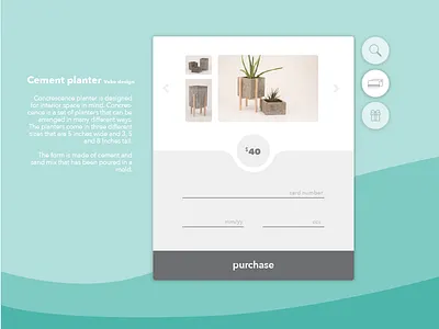 credit card checkout 002