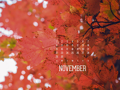 November 2015 calendar download fall leaves photography wallpaper