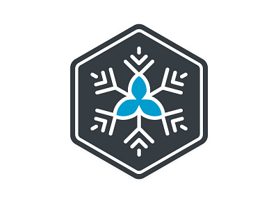 Ontario Snow Sports - Logo Mark blue design hexagon icon logo snowflake trillium