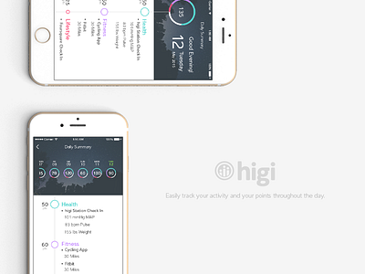 Fitness Daily Summary fitness gauge health ios iphone minimalism points timeline ui