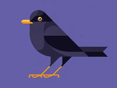 Blackbird bird black blackbird