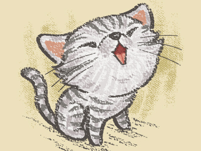 American Short Hair Kitten In A Good Mood animal cat character kitten pet