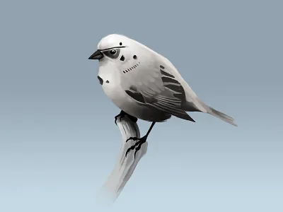 Stormtrooper bird birds star wars starwars stormtrooper