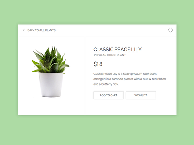 Day 12 // E-commerce (Single item) 012 challenge daily dailyui design ecommerce ui