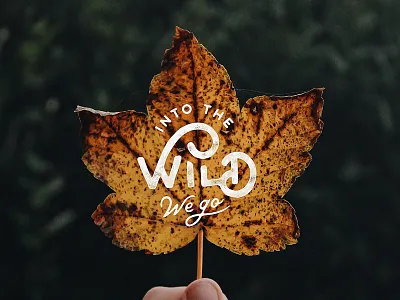 Into the Wild design hand lettering lettering script type typography
