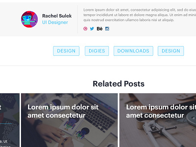 Blog Post Footer blog blog post design digital profile tags ui ui design