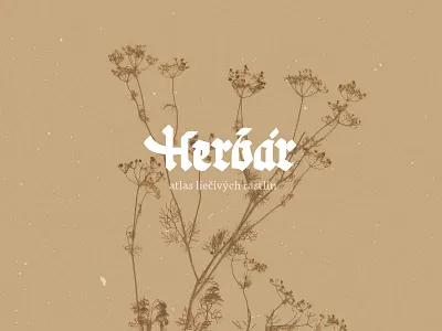 Herbár herbs lettering