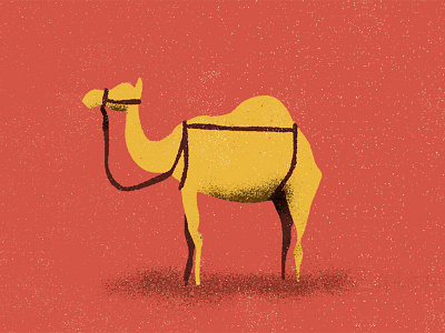 Camel