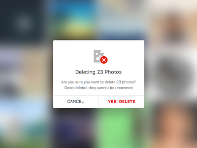Are you sure you want to delete? dailyui day016 ios ipad popup
