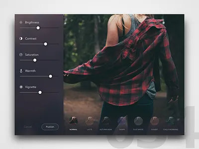 Day 34 - Photo Filter App 100 day challenge challenge dailyui design editor filter hipster instagram photo ui user interface ux