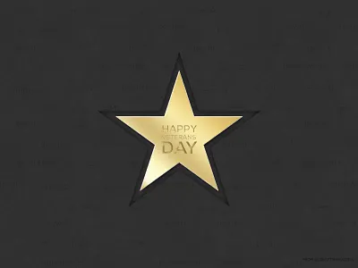 Happy Veterans Day! gold golden salute service star veterans