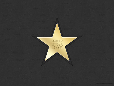 Happy Veterans Day! gold golden salute service star veterans