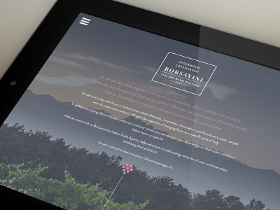 BorsaVini – Graphic identity branding design flat graphic design graphic identity ios italy minimal typography ui website wine