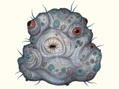 Meteorismus biosporin illustration character design characters illustration