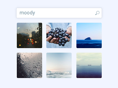 DailyUI day 022: search 022 dailyui photo search ui