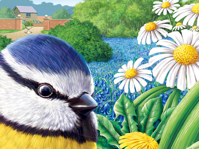 Blue Tit art birds blue tit bluebells daisy dandelion digital flowers garden illustration shed wildlife