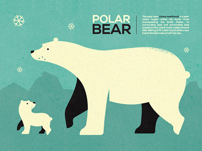 Polar bear (2012)